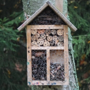 Swiss-Alps-Chalet-outdoor-activities-build-bug-hotel